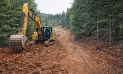 Kahramanmaraş’a yeni orman yolu yapılıyor