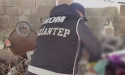 Gaziantep'te 179 adet sikke ile 29 adet obje ele geçirildi!