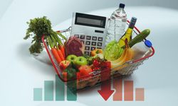 Şubat ayı enflasyon rakamları açıklandı