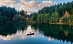 Milli parklara yönelik düzenlemeler içeren kanun Resmi Gazete'de