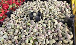 Kahramanmaraş’ta çağla sezonu başladı, fiyatı ne kadar?