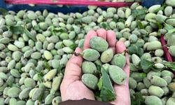 Kahramanmaraş’ta Çağla Fiyatında Dikkat Çeken Düşüş!