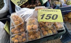 Kahramanmaraş’ta Yenidünya Tezgahlarda Yerini Aldı