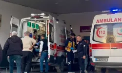 Bıçaklı kavgada 2 kardeş yaralandı