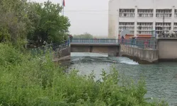 Sulama kanalına girdi; akıntıya kapılıp kayboldu