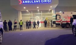 Kahramanmaraş'ta tartıştığını eşini başından silahla vurup öld*rdü