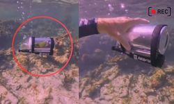 Bir kişi papağanı İçin mini denizaltı yaptı, Tıkla İzle!