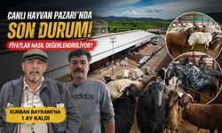 Canlı Hayvan Pazarı’nda son durum, açıklanan fiyatlar nasıl değerlendiriliyor?