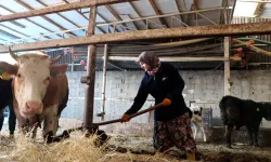 Kahramanmaraşlı gençler için çiftlik kurulacak, 84 bin TL maaş ödenecek