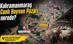 Kahramanmaraş Canlı Hayvan Pazarı nerede?