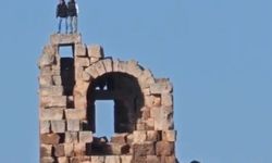 Tarihi yapıda tepki çeken halay