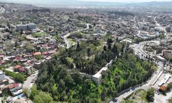 Kahramanmaraş'tan doğan bu lezzet dövüldükçe güzelleşiyor