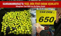 Kahramanmaraş’ta Yeşil Erik Fiyatı Dudak Uçuklattı