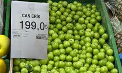 Kahramanmaraş’ta Erik Fiyatları Yarı Yarıya Düştü