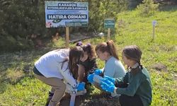 Kahramanmaraş'taki okul saldırısında hayatını kaybedenler için Karabük'te fidan dikildi