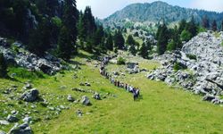 Kahramanmaraş’ta Doğaseverlerin Yeni Gözdesi Baharla Birlikte Canlandı