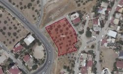 Kahramanmaraş’ta 11,8 Milyon TL Değerinde Bağ Satışa Çıktı