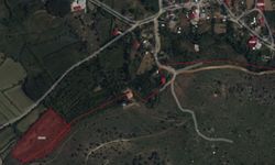 Kahramanmaraş’ta büyük fırsat! Bahçeler satışa çıktı