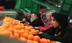 Kadın çalışanların toplam ihracattaki payı yüzde 23,5'e yükseldi