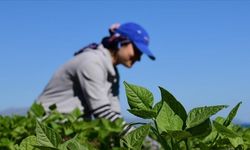 Kahramanmaraş’ta Kırsal Kalkınmaya Dev Destek