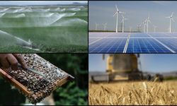 Kahramanmaraşlı Yatırımcılara Büyük Fırsat: Kırsal Kalkınma Destekleri Başladı