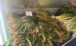 Kahramanmaraş’ta çiriş fiyatları düştü