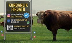 Kahramanmaraşlılar dikkat: Kurban satışlarında sosyal medya tuzağı