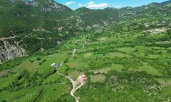 Kahramanmaraş’ta kış ve bahar yağışları sonrası dağlar yeşile boyandı
