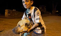 Köyde iki ayının saldırısına uğrayan Sencar’ın imdadına çoban köpeği Kral yetişti