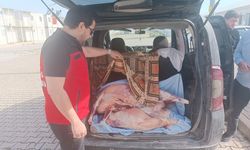 Kahramanmaraş’ta skandal görüntü: Karkas etleri çarşafa sarıp taşıdılar