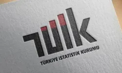18-74 yaş arası nüfusun yüzde 43,1'i bakım sorumluluğu taşıyor