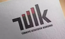 TÜİK: Ortalama hanehalkı büyüklüğü 3,08'e geriledi