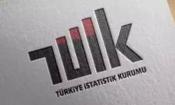TÜİK: Suçtan korunmak için alınan en yaygın önlem çelik kapı oldu