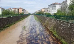 Kastamonu'da dereye kimyasal atık karıştı