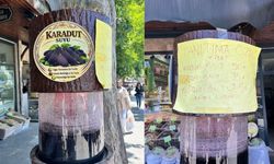 Kahramanmaraş’ta yazın serinleten lezzeti Karadut tezgahlarda yerini aldı