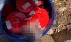 Plastik kutularda 21 cenin bulundu