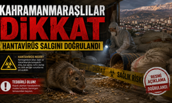 Kahramanmaraşlılar Dikkat: Hantavirüs Salgını Doğrulandı