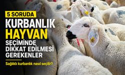 5 soruda kurbanlık hayvan seçiminde dikkat edilmesi gerekenler