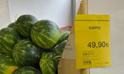 Kahramanmaraş’ta Karpuzda Sezon Başı Fiyatları Dikkat Çekiyor