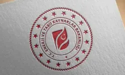 Rüzgar kurulu gücü 15 bin megavatı aştı