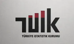 TÜİK: Hizmet üretimi yıllık yüzde 2,2 arttı, aylık yüzde 0,6 azaldı