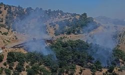 Kahramanmaraş'ta çıkan orman yangını kontrol altına alındı