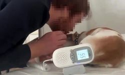 Kahramanmaraş'ta sedyede köpek tedavi eden doktorun skandal ifadeleri yeniden gündem oldu