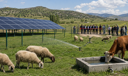Afşin Kangal'da Mera Islah Projesi Hizmete Açılıyor
