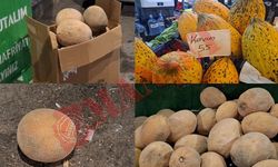 Kahramanmaraş’ta Kilolarca Kavun Çöpe Atıldı