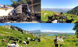 Kahramanmaraş'ta yayla göçü başladı