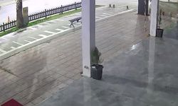 Kahramanmaraş'ta nişanlı çiftin ölümüne neden olan sürücüye ilk duruşmada tahliye