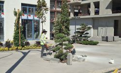 Trabzon Caddesi’nde Peyzaj Çalışmaları Hızla Sürüyor