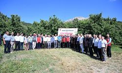 Dünyaca Ünlü Çığşar Kirazı İçin Kahramanmaraş'ta Hasat Etkinliği