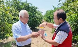 Andırın’da faydalı böcek ile doğal mücadele